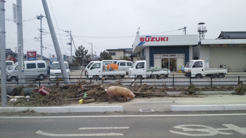 宮城県の状況_d0205609_1645910.jpg