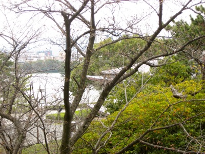 c0114110_946137.jpg