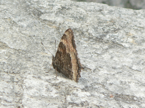 f0219710_7535863.jpg