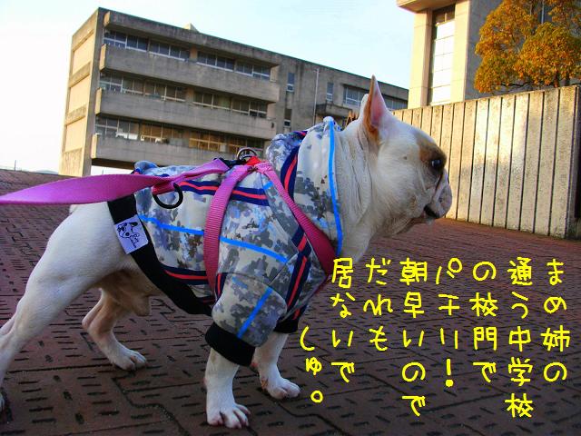 a0158613_22213649.jpg