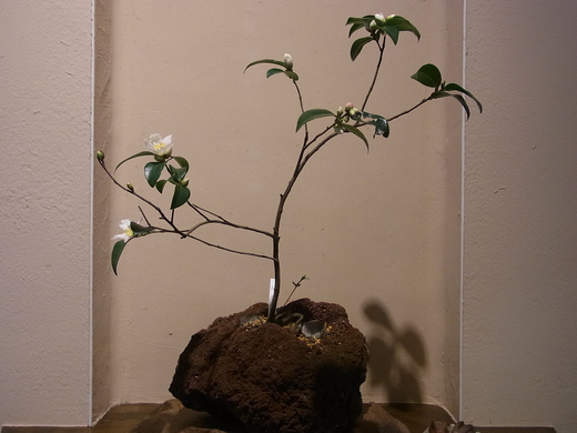 f0061414_152174.jpg