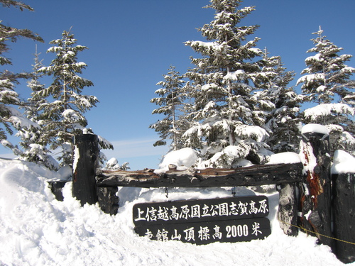 b0093515_7302854.jpg