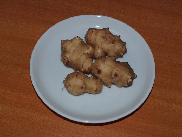 菊芋(きくいも)_c0116915_2351437.jpg