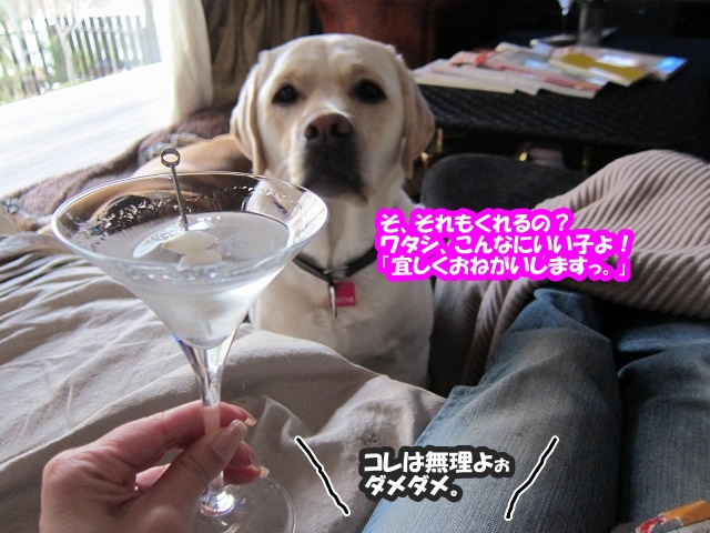e0192217_7334229.jpg