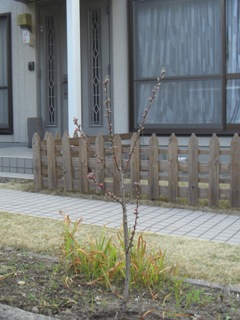 b0182718_16434250.jpg