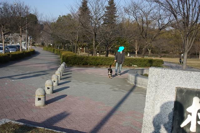 e0162524_1225124.jpg