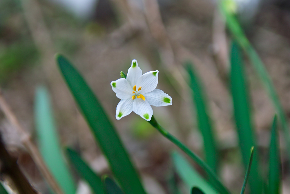 散歩写真の愉しみ_c0223825_1384557.jpg