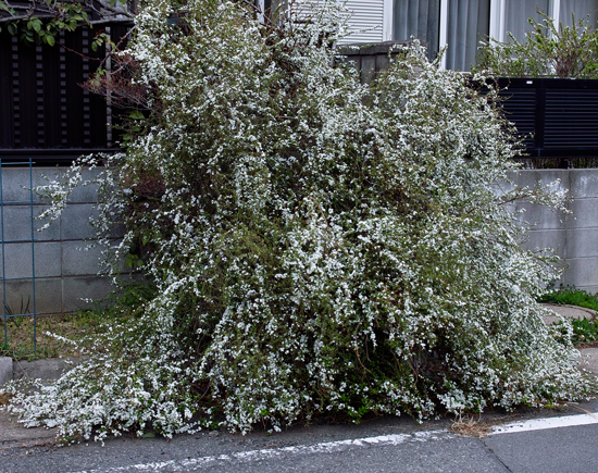 c0223825_14516100.jpg