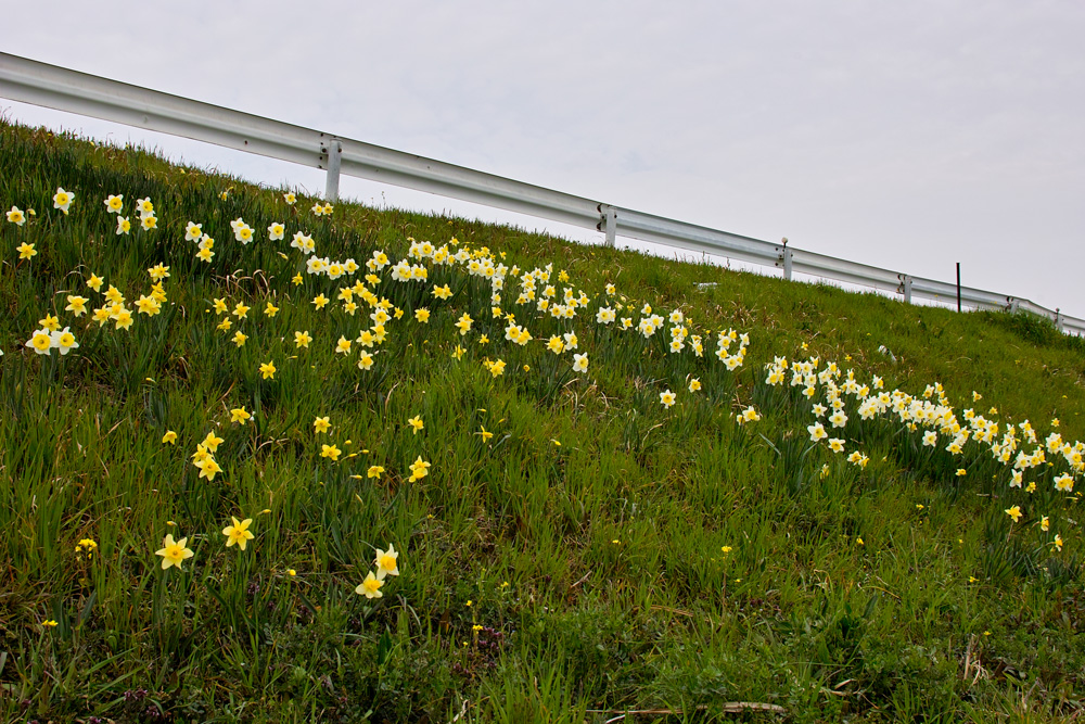 散歩写真の愉しみ_c0223825_1515888.jpg