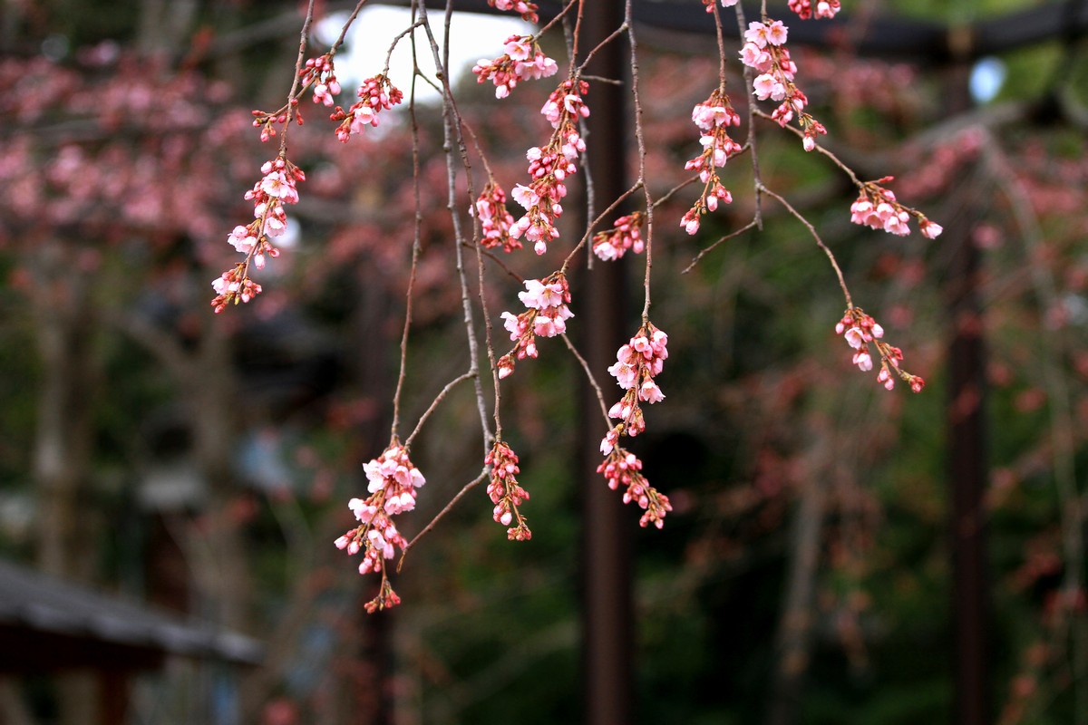 c0104227_8565641.jpg