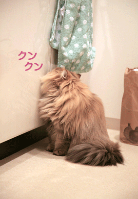 e0157129_18475936.gif