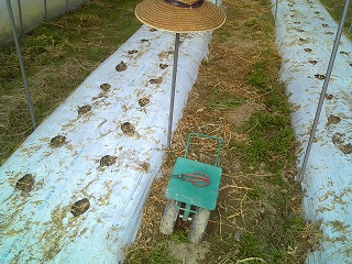 f0032130_20362710.jpg