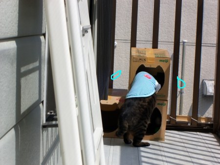 湯たんぽヒビワレ_a0099131_16152634.jpg