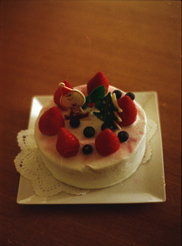 クリスマスケーキ_f0140938_16471250.jpg