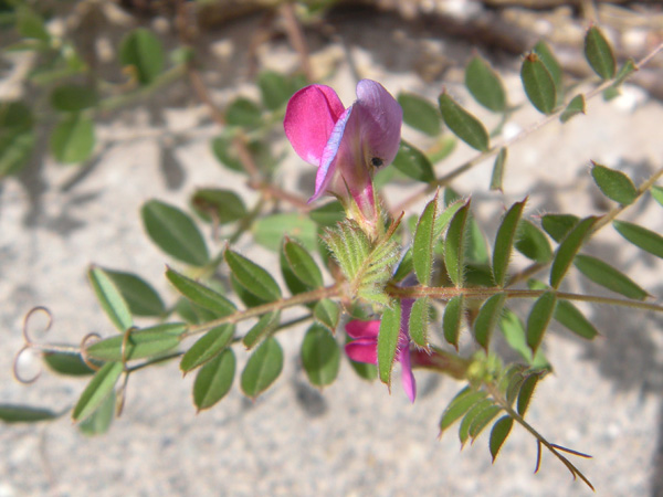 c0047341_20114314.jpg