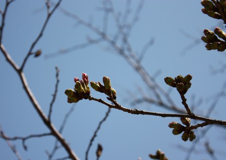 e0170441_17182180.jpg