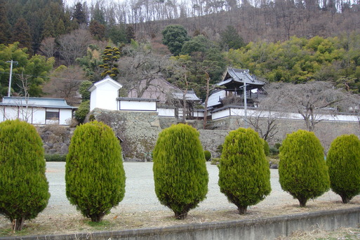 大雲寺の蓮_e0226943_2231817.jpg