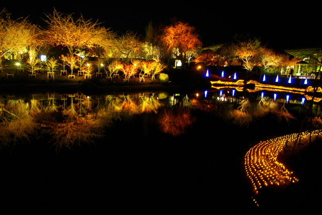 d0186245_2241823.jpg