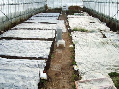 e0143347_16391898.jpg
