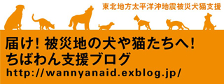 ちばわん被災地支援ブログ開設しました。_b0072650_1762248.jpg