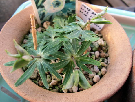 c0147952_074642.jpg