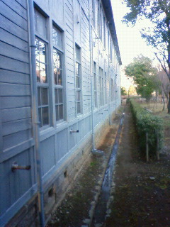 f0208355_15828.jpg