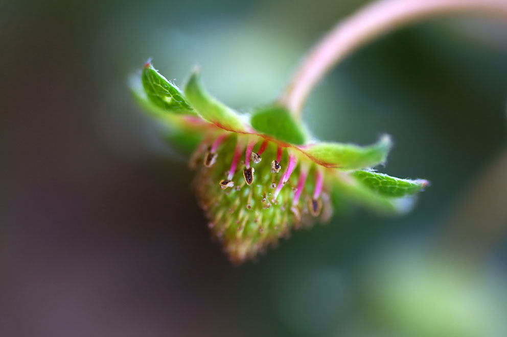 e0153076_2247471.jpg