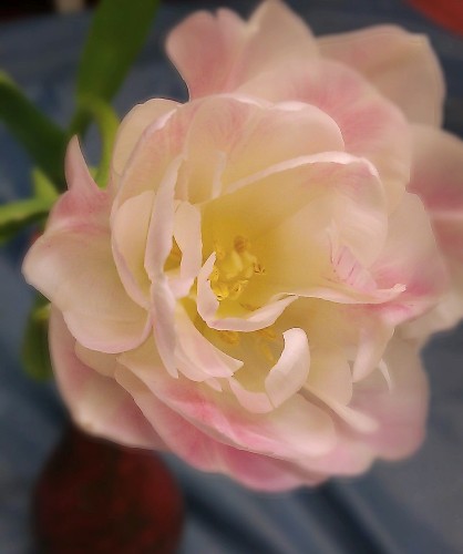 e0183783_233528100.jpg
