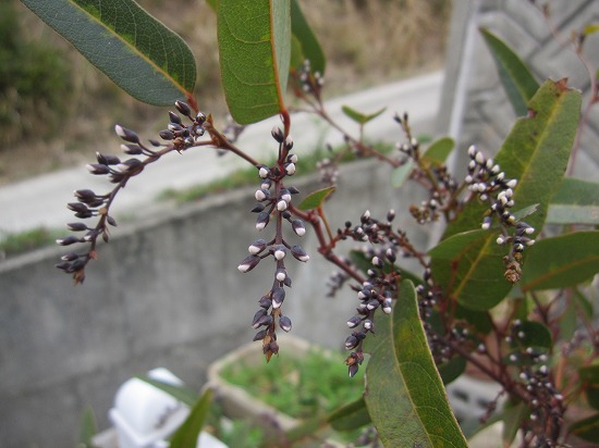 b0182884_05120100.jpg