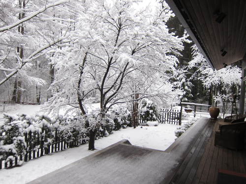 春が待ち遠しい_d0133485_11383258.jpg