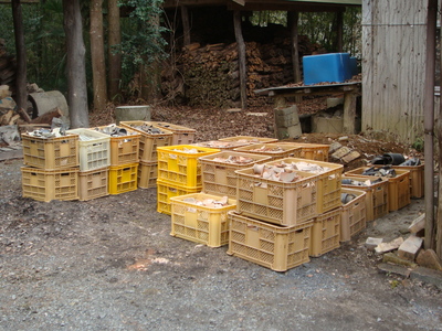 e0183485_22343325.jpg