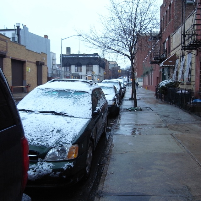 Snow & Thunder in Brooklyn_d0204189_11531985.jpg