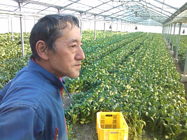 支援物資、野菜の摂取制限_e0068696_22474757.jpg