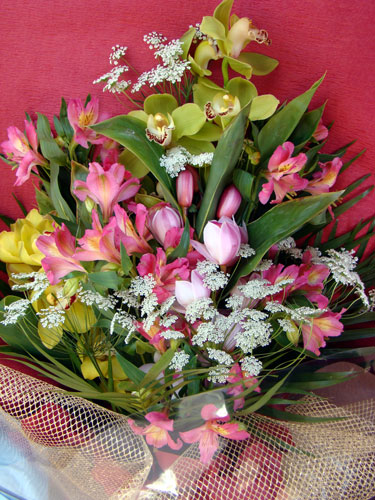 a0047200_8344592.jpg