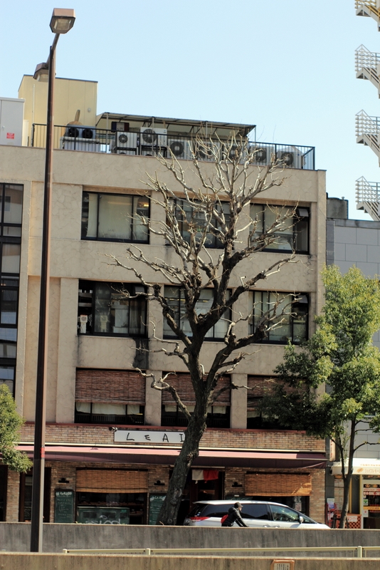 b0138101_23265990.jpg