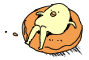 行動。_a0050302_3564144.gif