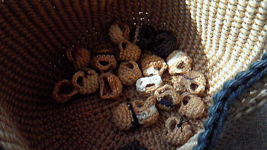 d0225402_168266.jpg