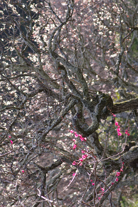 b0151409_23182413.jpg