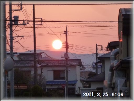                  ３月　２５日　　大地震から２週間_c0097309_9183698.jpg