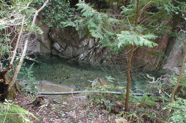 f0054610_18165536.jpg