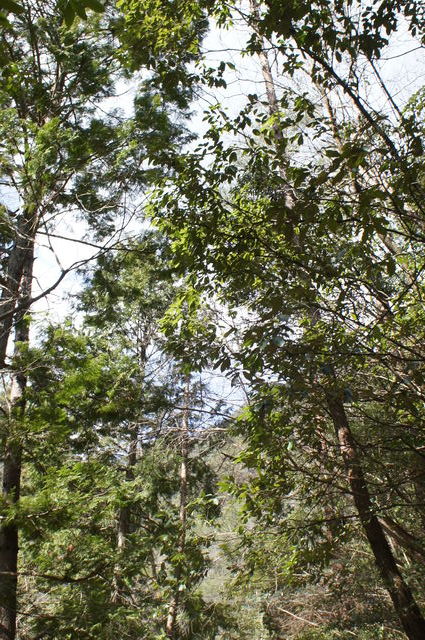 f0054610_18165646.jpg