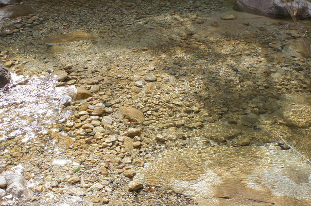 f0054610_18165926.jpg