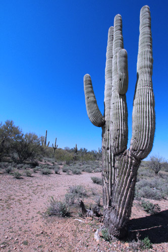 c0148812_045912.jpg
