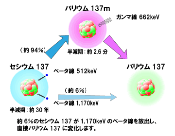 セシウム１３７とストロンチウム９０：核図表の読み方とは？_e0171614_11311476.gif