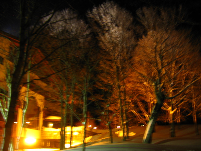 b0093515_7432811.jpg