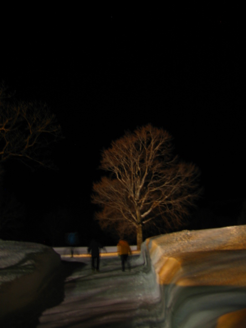 b0093515_7435410.jpg