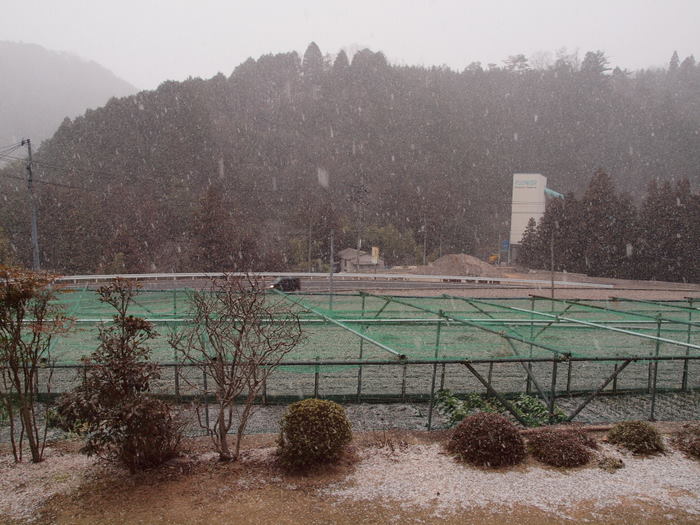 また雪がチラつき。。_c0116915_2244970.jpg