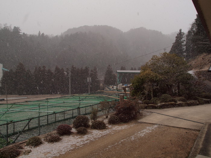 また雪がチラつき。。_c0116915_22451078.jpg