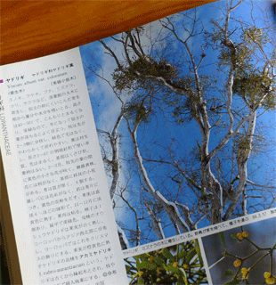 c0198717_1121785.gif