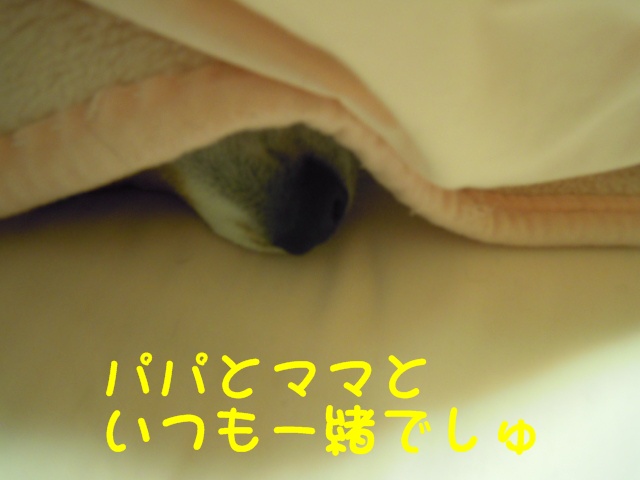 c0166622_10931.jpg
